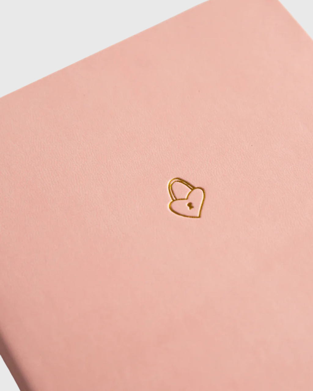 Illustrated Notebook