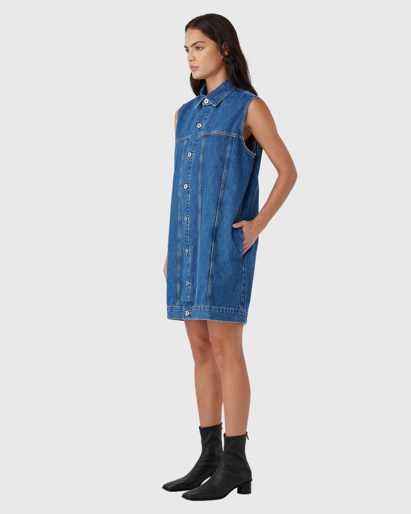 Goldie Sleeveless Dress Latitude