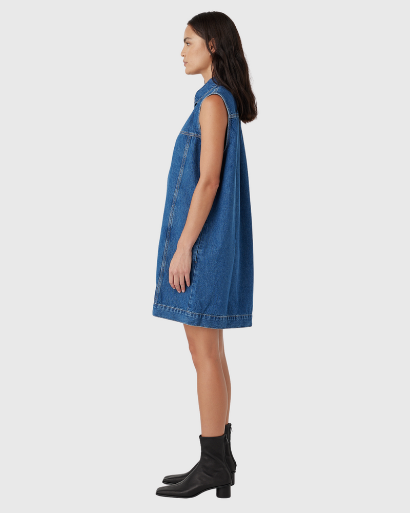Goldie Sleeveless Dress Latitude