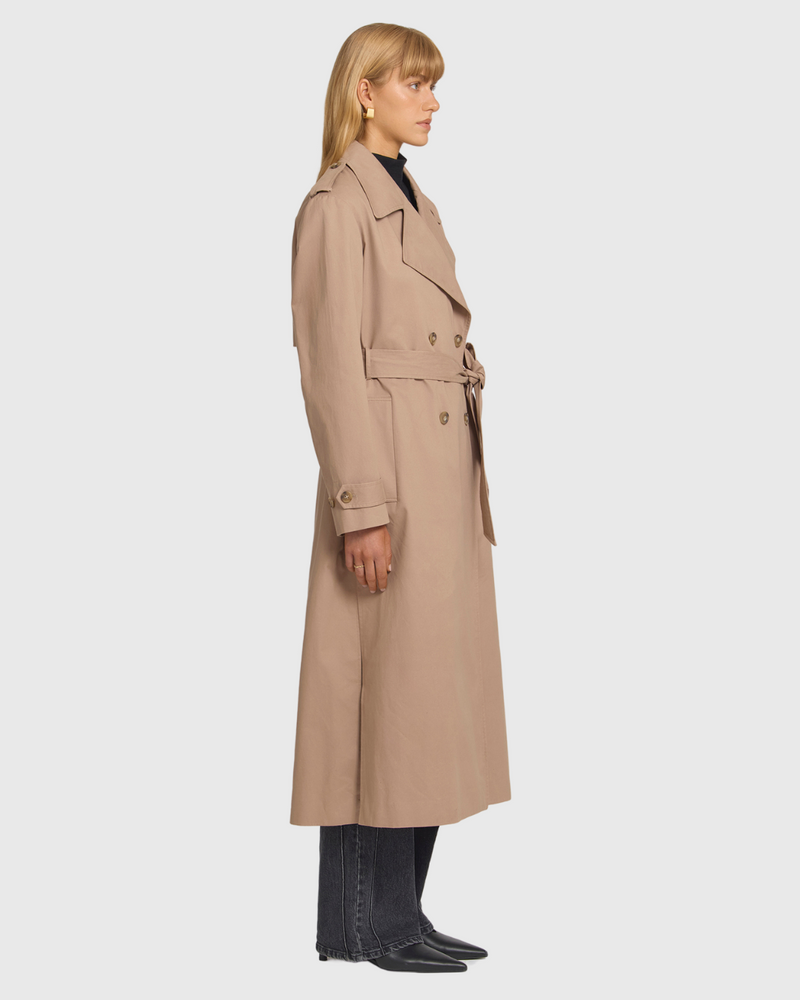 Newcomer Trench Sandstone